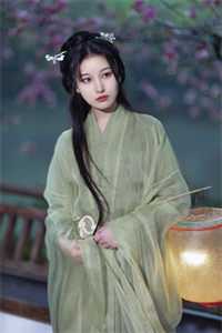 风起时，花落成殇完本