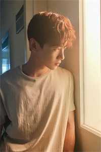 雾尘玫瑰完整阅读