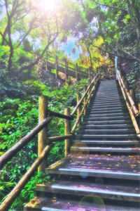 港婚灼夜笔趣阁