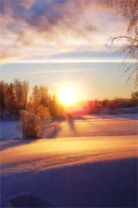 雾隐那年桥已完结版