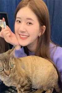 丁克三年，发现了老公的结扎报告完本