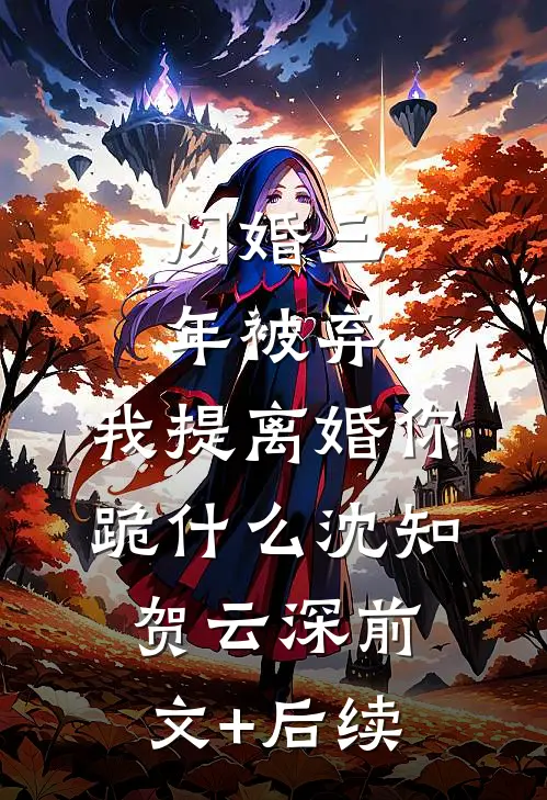 闪婚三年被弃，我提离婚你跪什么沈知贺云深前文+后续
