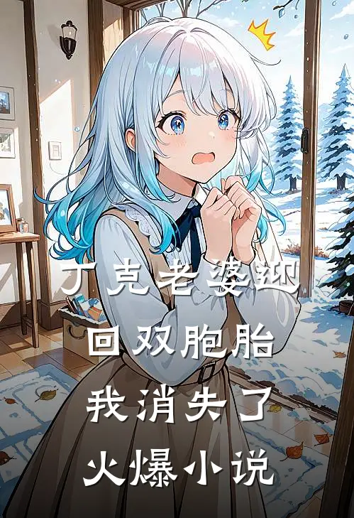 丁克老婆迎回双胞胎,我消失了火爆在线阅读