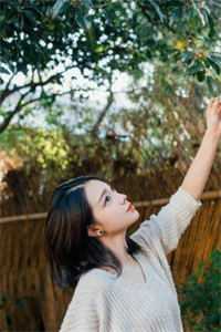 蝉鸣盛夏别离时免费