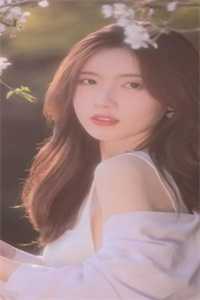 刀光剑影里，我一步步登顶高口碑