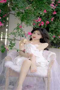 从此候鸟无归期最新章节