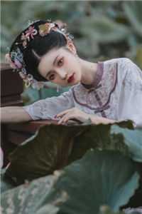 那年春天，海棠花未眠高口碑