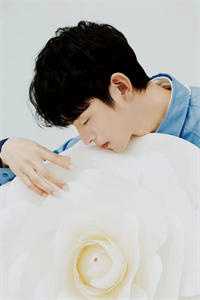 从此山水不相逢畅读