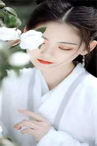 社畜神医暴富指南：从权贵到江湖人气小说