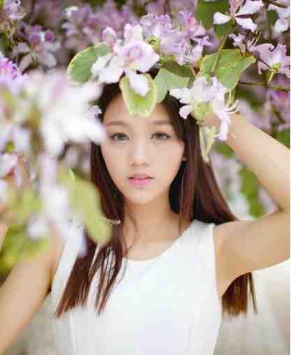 落雪折尽不是春后续+完结