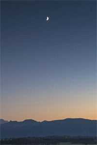 青竹早凋念旧时短篇