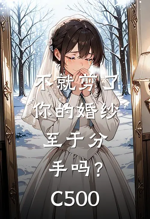 不就剪了你的婚纱，至于分手吗？C500