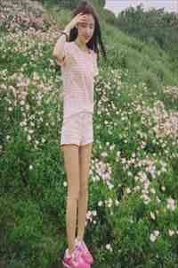 旧风未散的夏天爆火全网