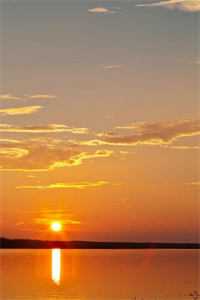 宛宛类卿完整版