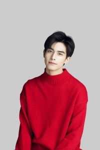 灯火已歇，爱恨长绝全文无删减