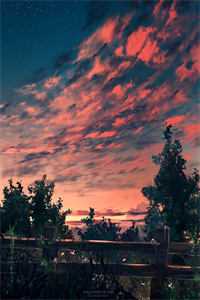 自此梨花空恨雪全本小说推荐