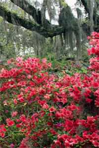 首富回村：相亲宴上我摊牌了好书