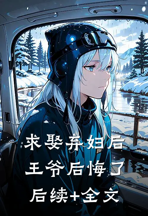 求娶弃妇后，王爷后悔了后续+全文