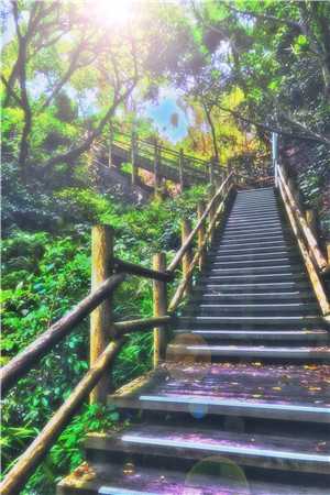 一别晚风凉无删版