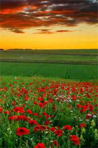 出狱后，诬陷我的妻子和小助理悔疯了精品选集