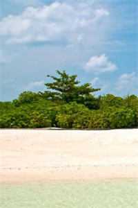 保姆女儿霸占我的房子后，我杀疯了精品篇