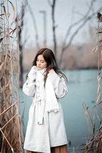 扶云远去千万里陆引商季扶嫣全文+免费