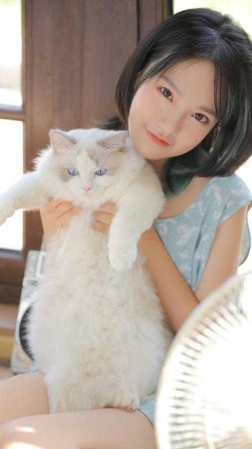 爱凝血，恨离别异常火爆