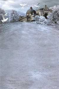 楚歌不复当年意抖音热门