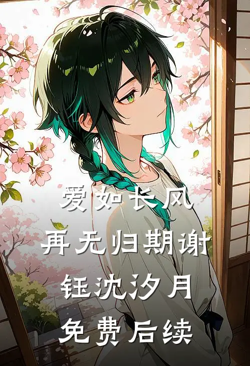爱如长风，再无归期谢钰沈汐月免费后续