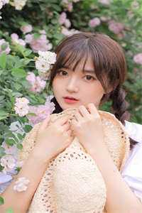 江山残照，落落舒清眺推荐