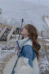 雪落无声覆白头全球完整文集