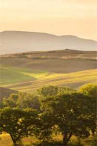 令人窒息的妈妈全章节阅读